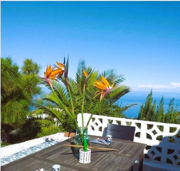 Zenrepublic, Your Private Villa With Outdoor Jacuzzi & Pool With Stunning Ocean Views Puntillo Del Sol المظهر الخارجي الصورة